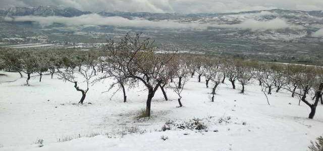 Nevada en el Valle