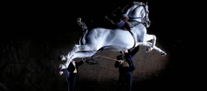 Caballos Bailarines