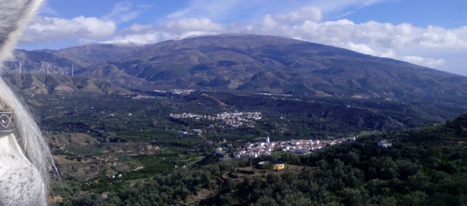 Llega la nieve a la sierra