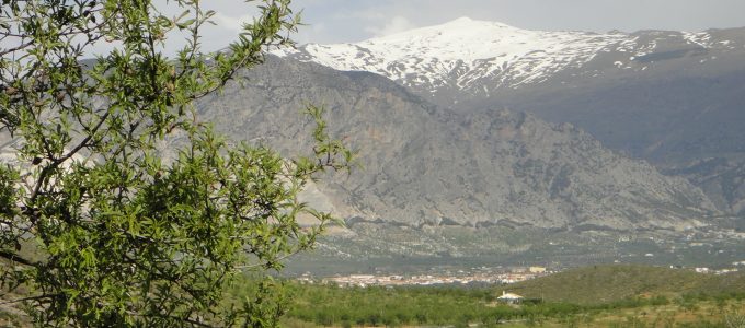 LLEGA EL VERANO A SIERRA NEVADA